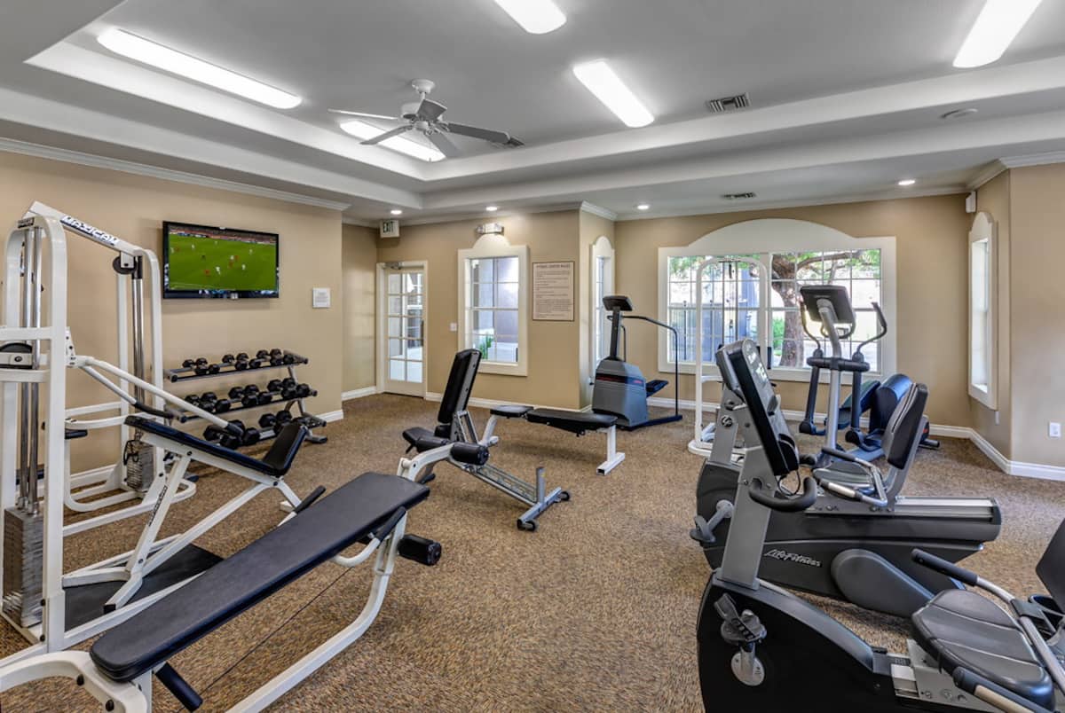 RGVtYW5kUGljdHVyZToxOTQzMTU5MjE4