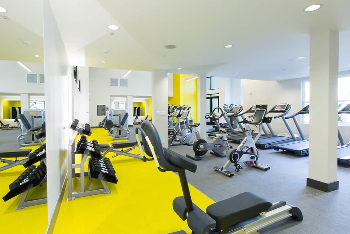 RGVtYW5kUGljdHVyZToyMTE2NDcxODQ4