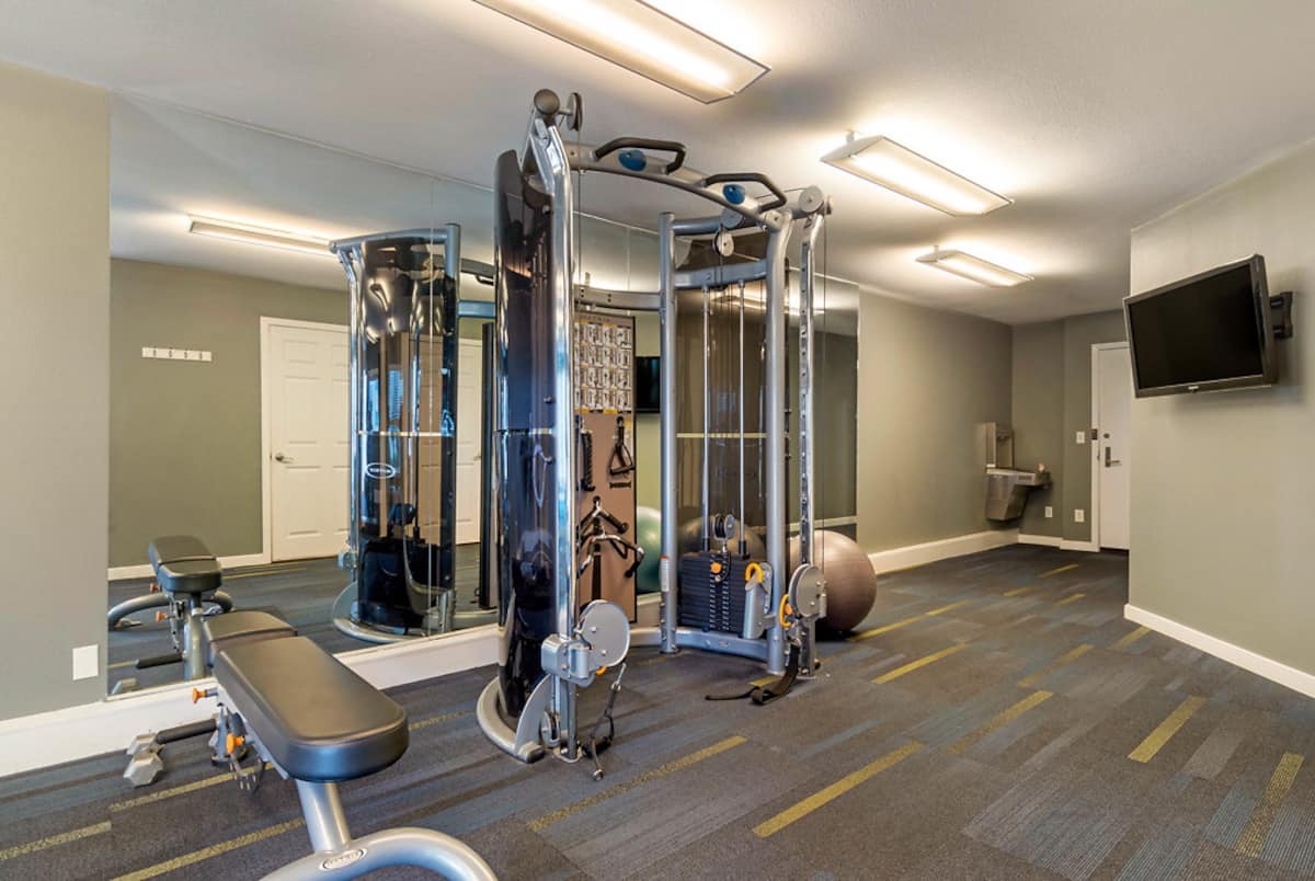 RGVtYW5kUGljdHVyZToxOTQzMTYwNjUx