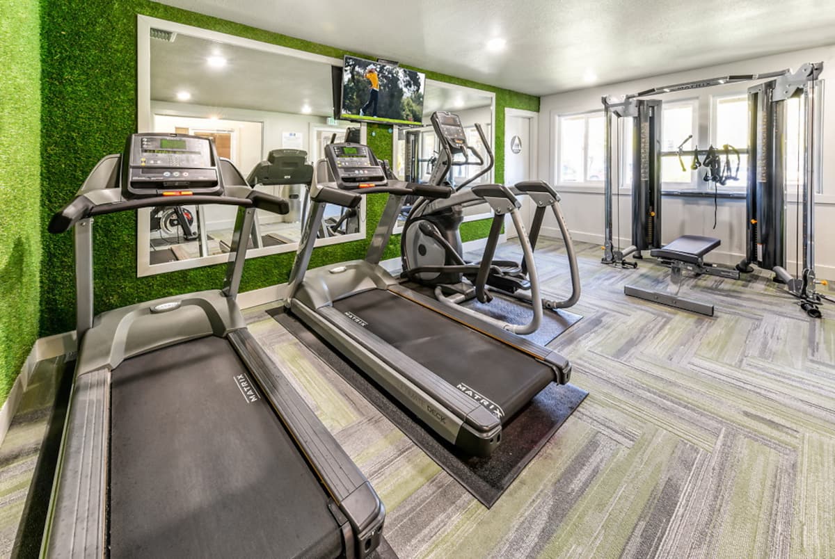 RGVtYW5kUGljdHVyZToxOTQzMTU4NDQx