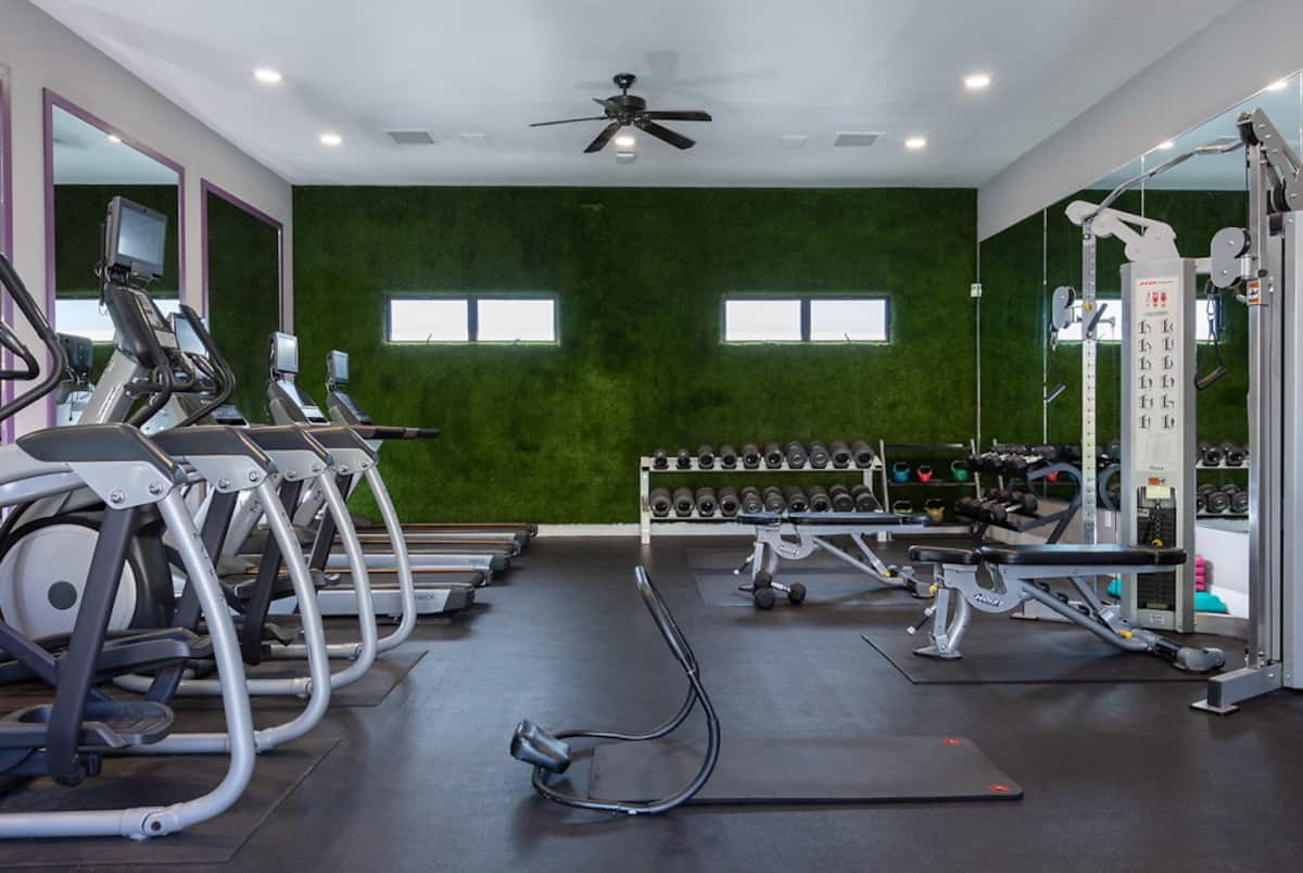 RGVtYW5kUGljdHVyZToxOTQzMTU2NTY3