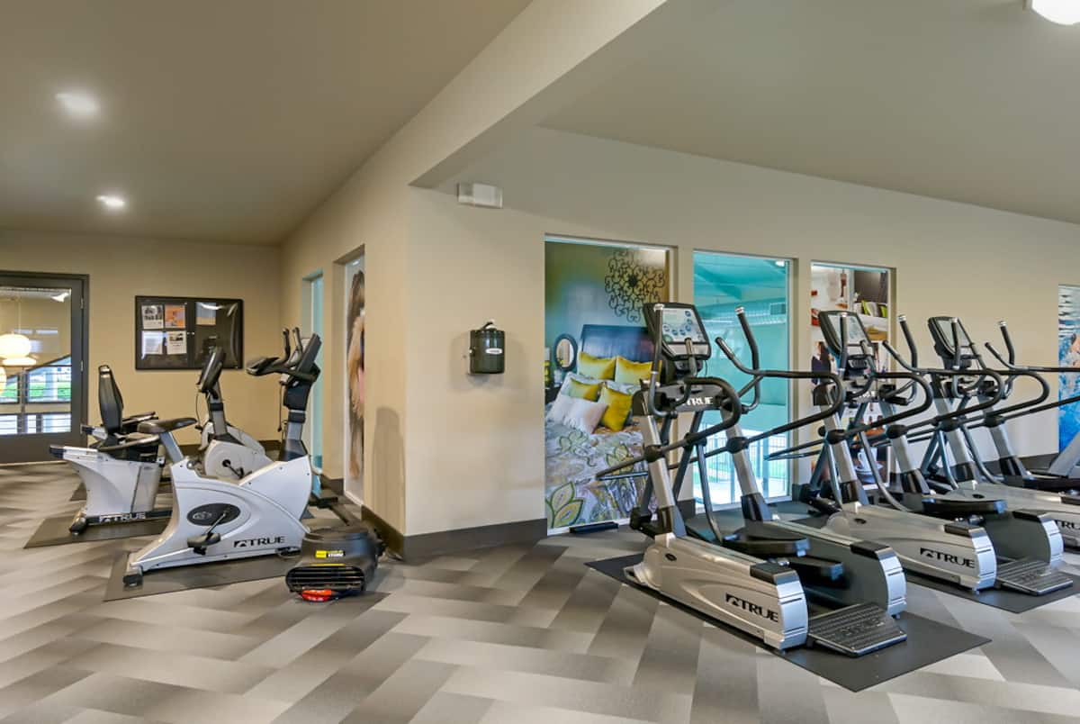 RGVtYW5kUGljdHVyZToxOTQzMTU0NDU0