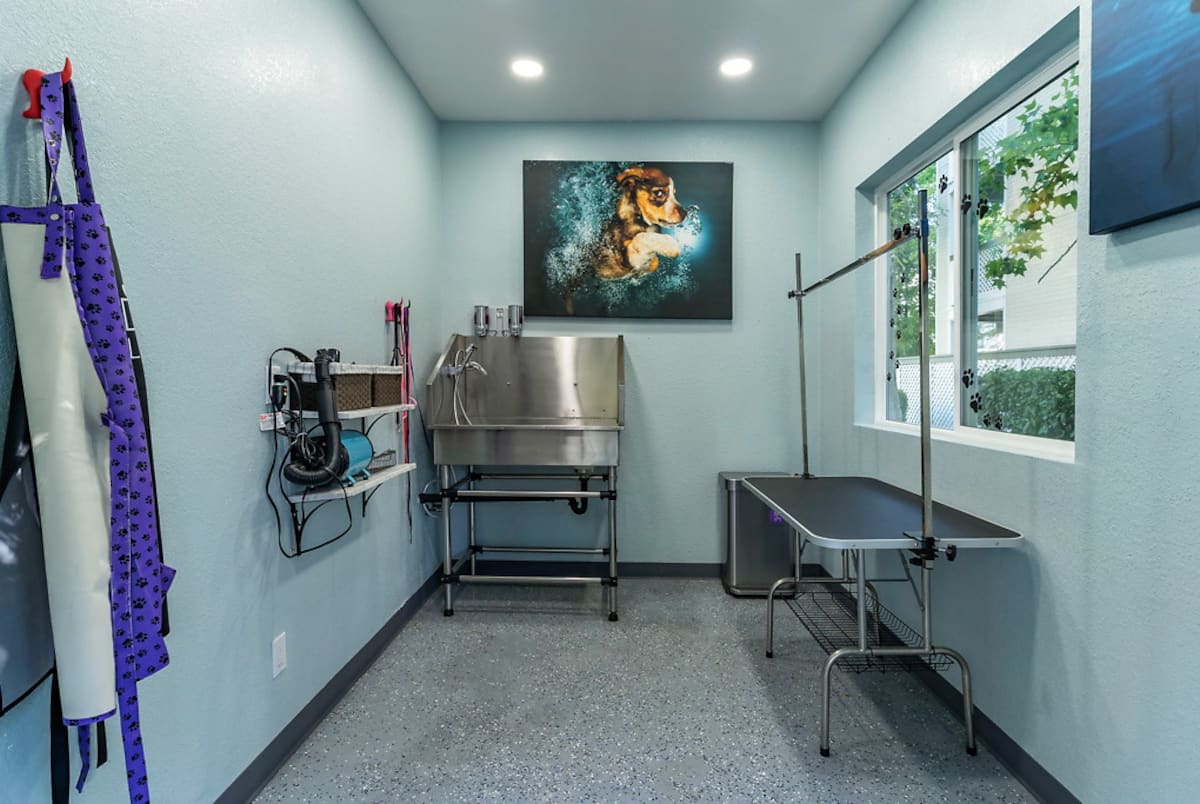 RGVtYW5kUGljdHVyZToxOTQzMTU0OTMx