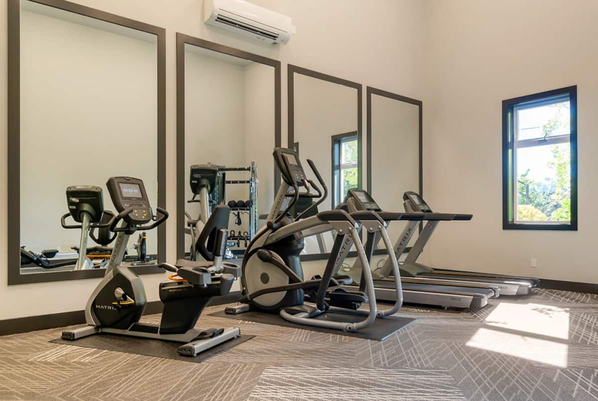 RGVtYW5kUGljdHVyZToxOTQzMTU0MTA1