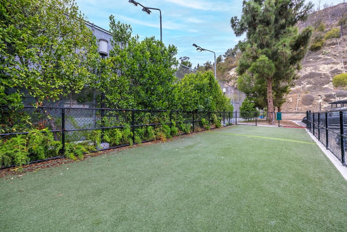 RGVtYW5kUGljdHVyZToxOTUxNTcxMjU1