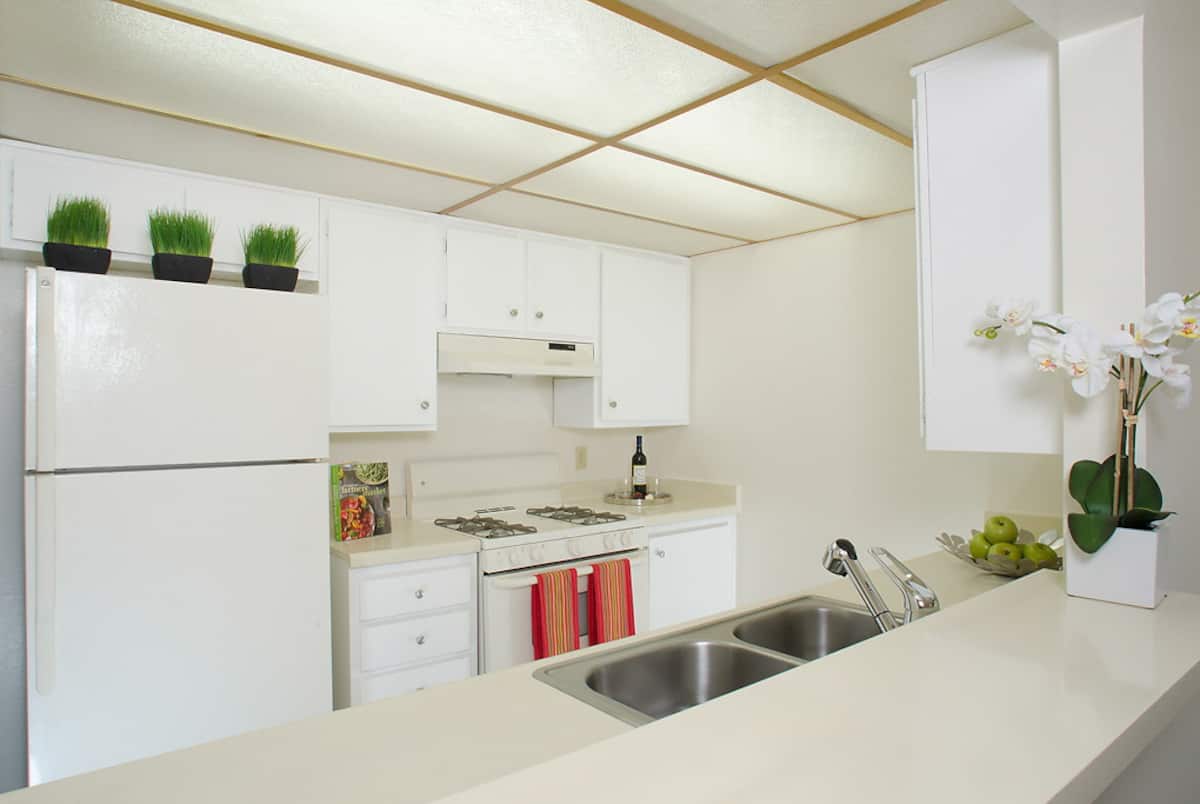 RGVtYW5kUGljdHVyZToxOTQzMTU2OTU2