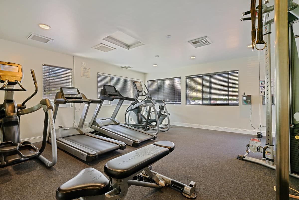 RGVtYW5kUGljdHVyZToyMDQ1NzgwOTc2