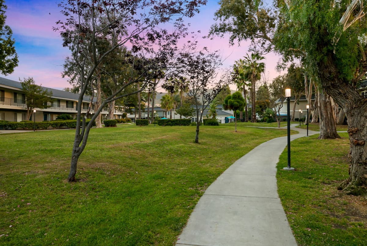 RGVtYW5kUGljdHVyZToxOTQzMTUzNjE5