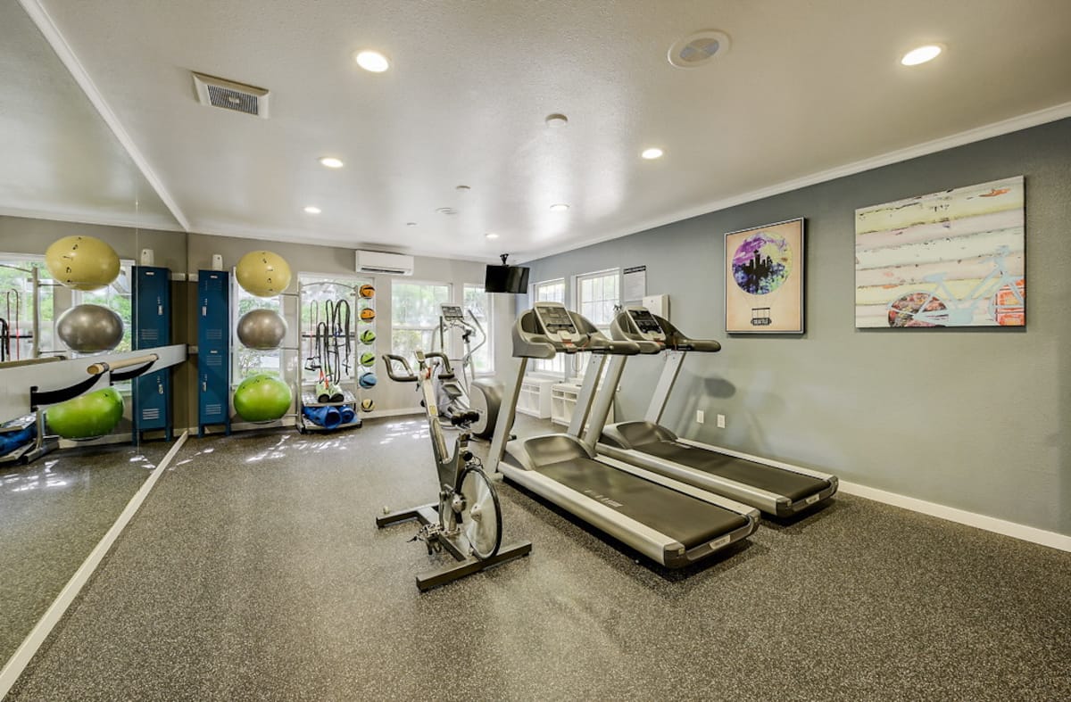 RGVtYW5kUGljdHVyZToxOTQzMTYwMjYw