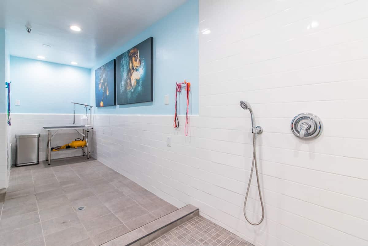 RGVtYW5kUGljdHVyZToxOTQzMTU4MDg3