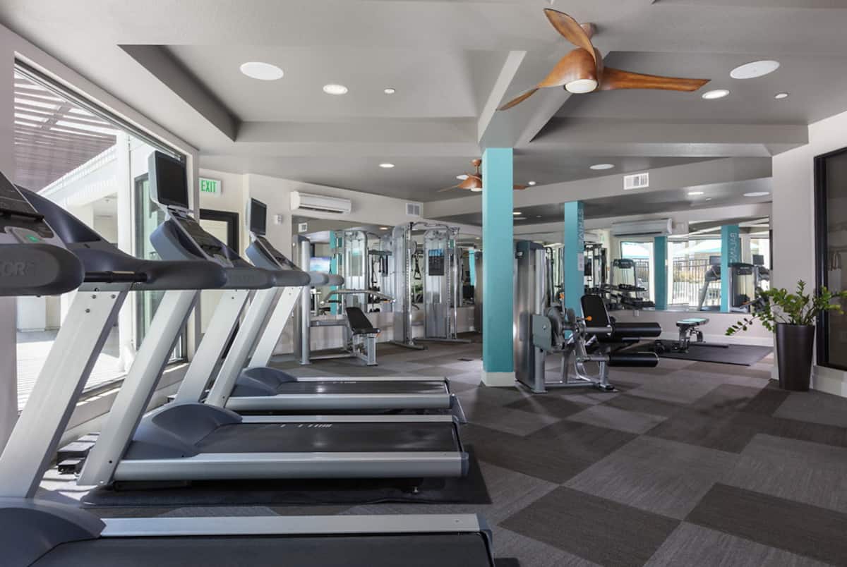 RGVtYW5kUGljdHVyZToxOTQzMTU5MTc5