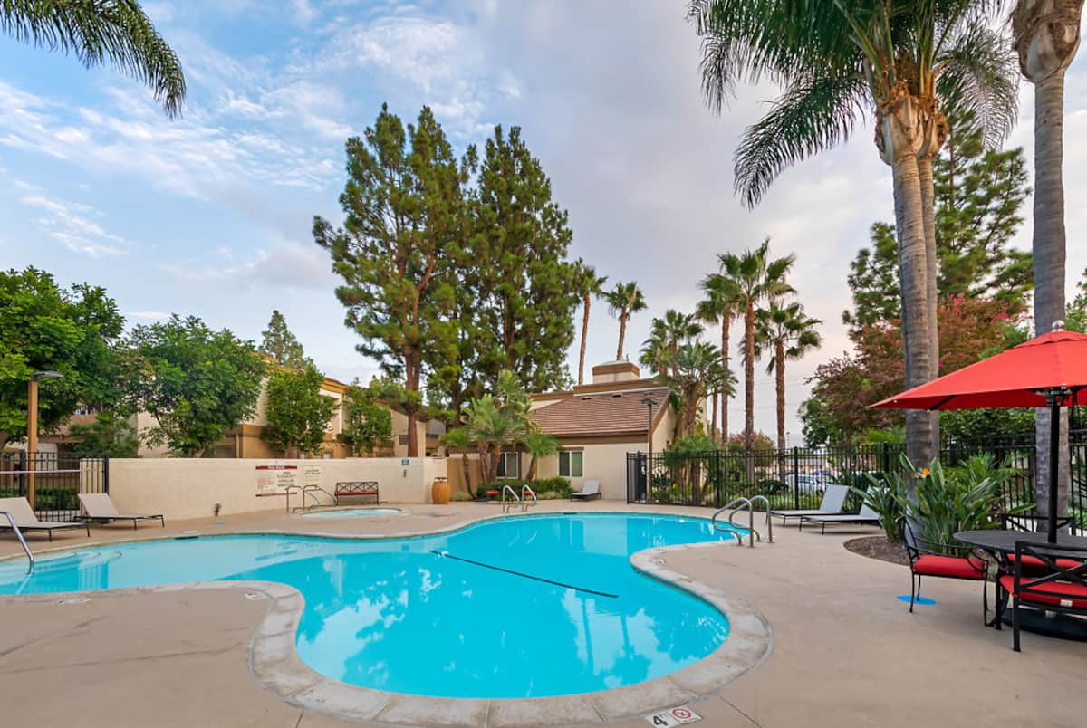 RGVtYW5kUGljdHVyZToxOTQzMTUzNzQ4