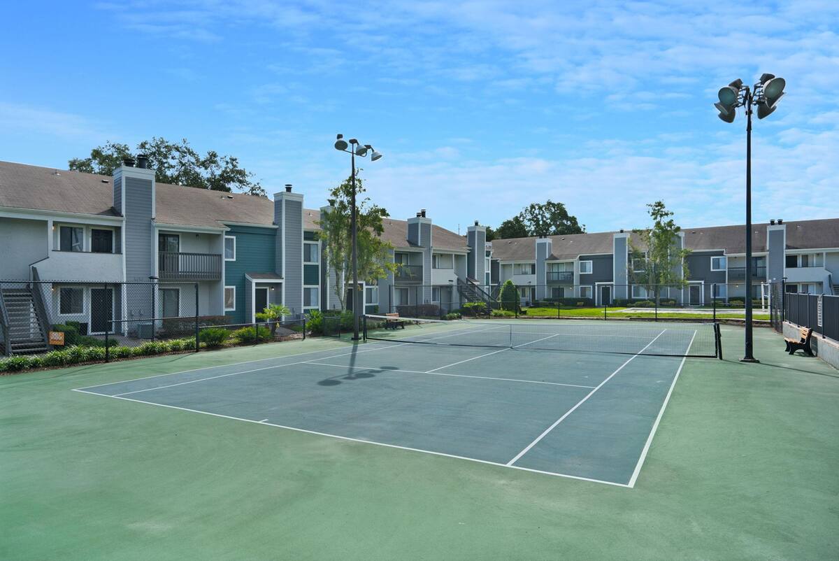 Discover Airbnbfriendly apartments in Jacksonville Airbnb