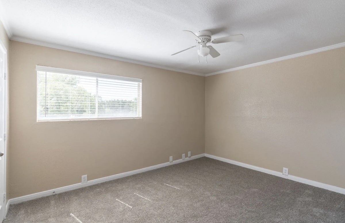 RGVtYW5kUGljdHVyZToxOTk5MTM3ODc5