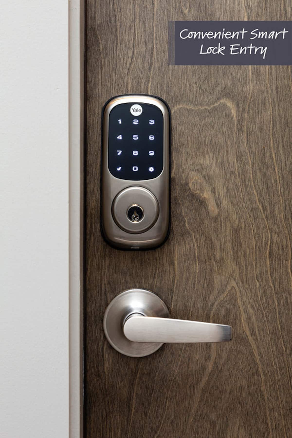 RGVtYW5kUGljdHVyZToxOTU1MjA0ODk3