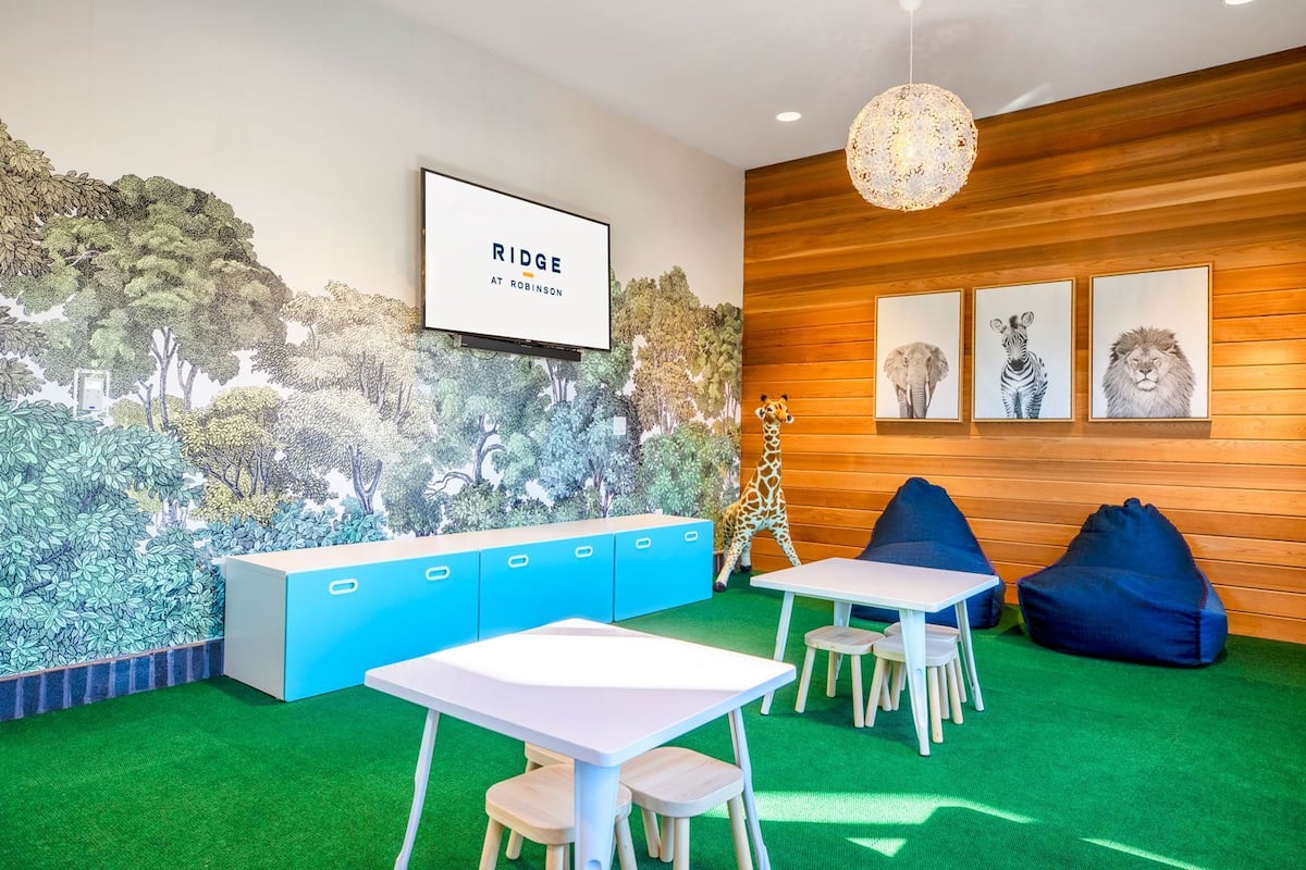 RGVtYW5kUGljdHVyZToxOTU1MTIxMzU2