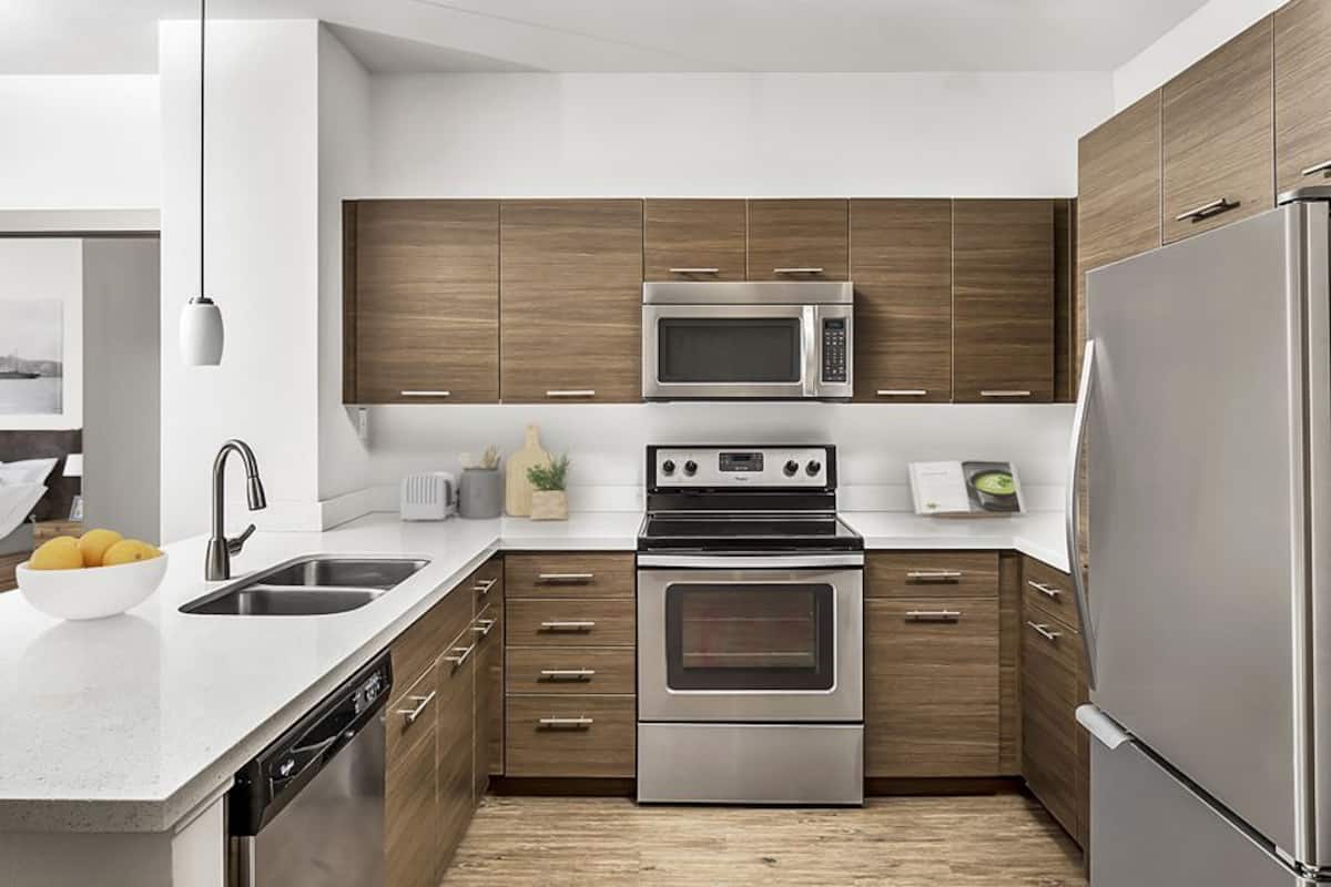 RGVtYW5kUGljdHVyZToxOTUxNjcwODYy