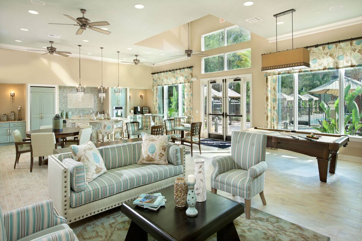 Earn with Airbnbfriendly apartments in Tampa Airbnb