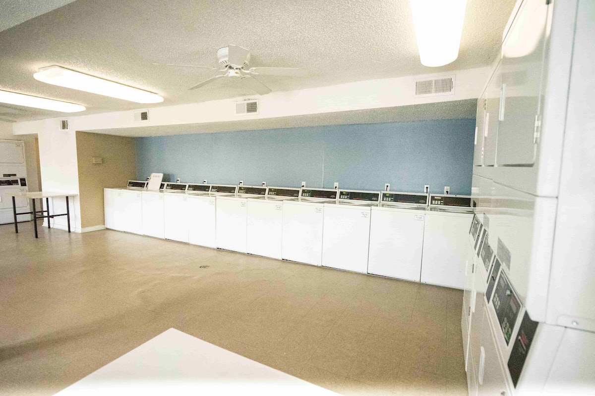 RGVtYW5kUGljdHVyZToyMzQyMDYzNzA1