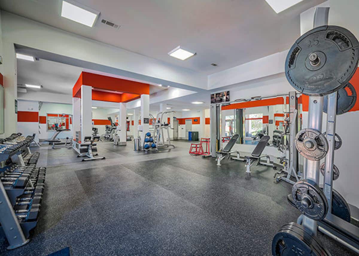 RGVtYW5kUGljdHVyZToxOTUxNjYyMDMx