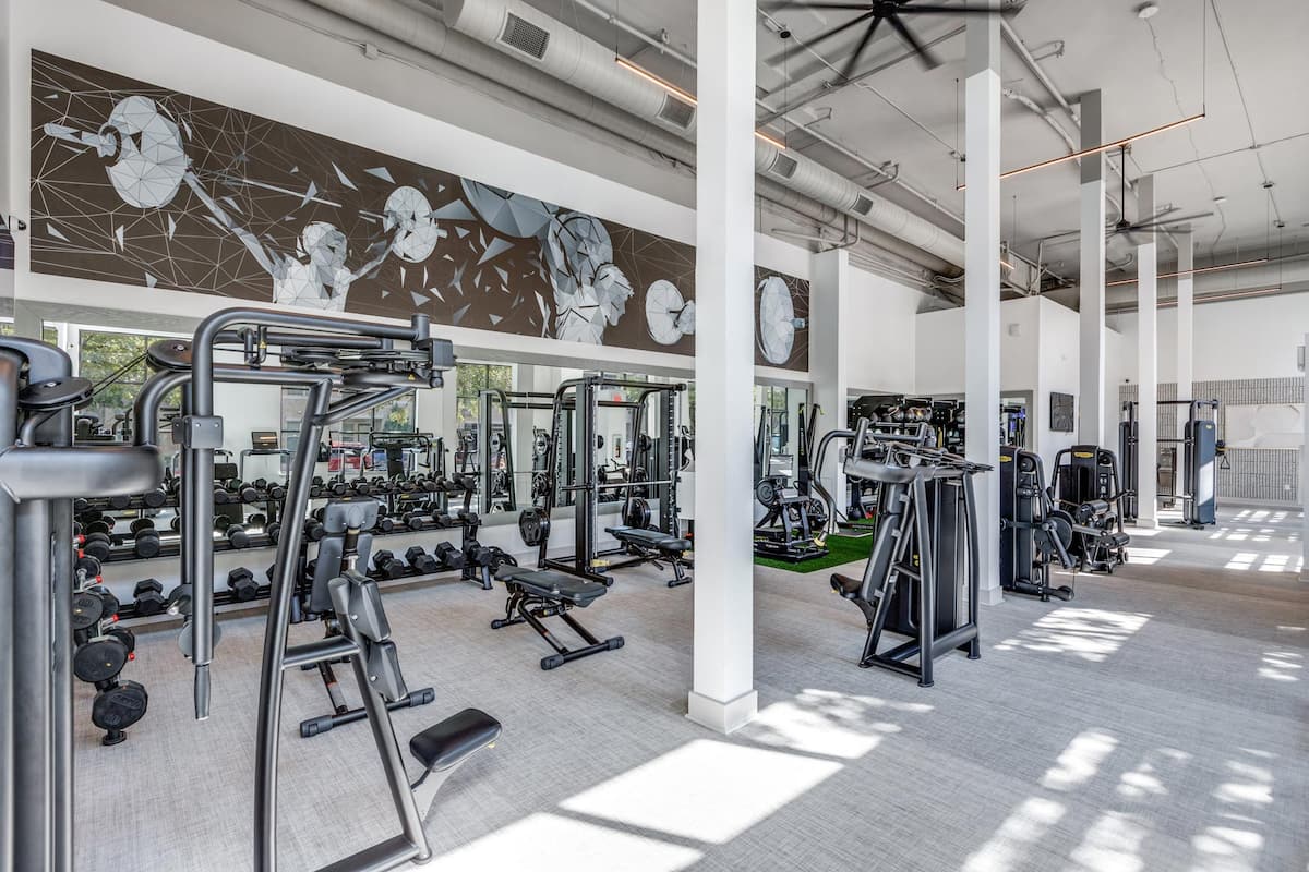 RGVtYW5kUGljdHVyZToxOTQzMTQ1MjE5