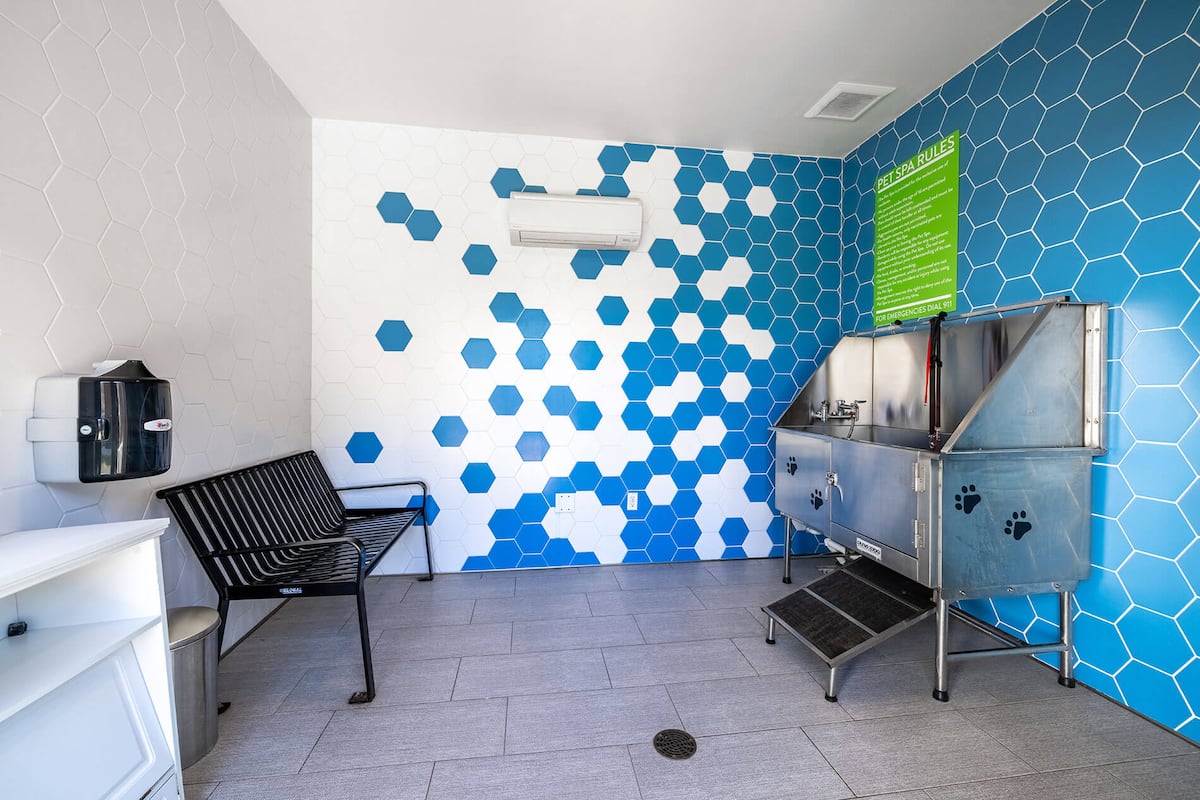 RGVtYW5kUGljdHVyZToxOTQzMTQ1NzYy