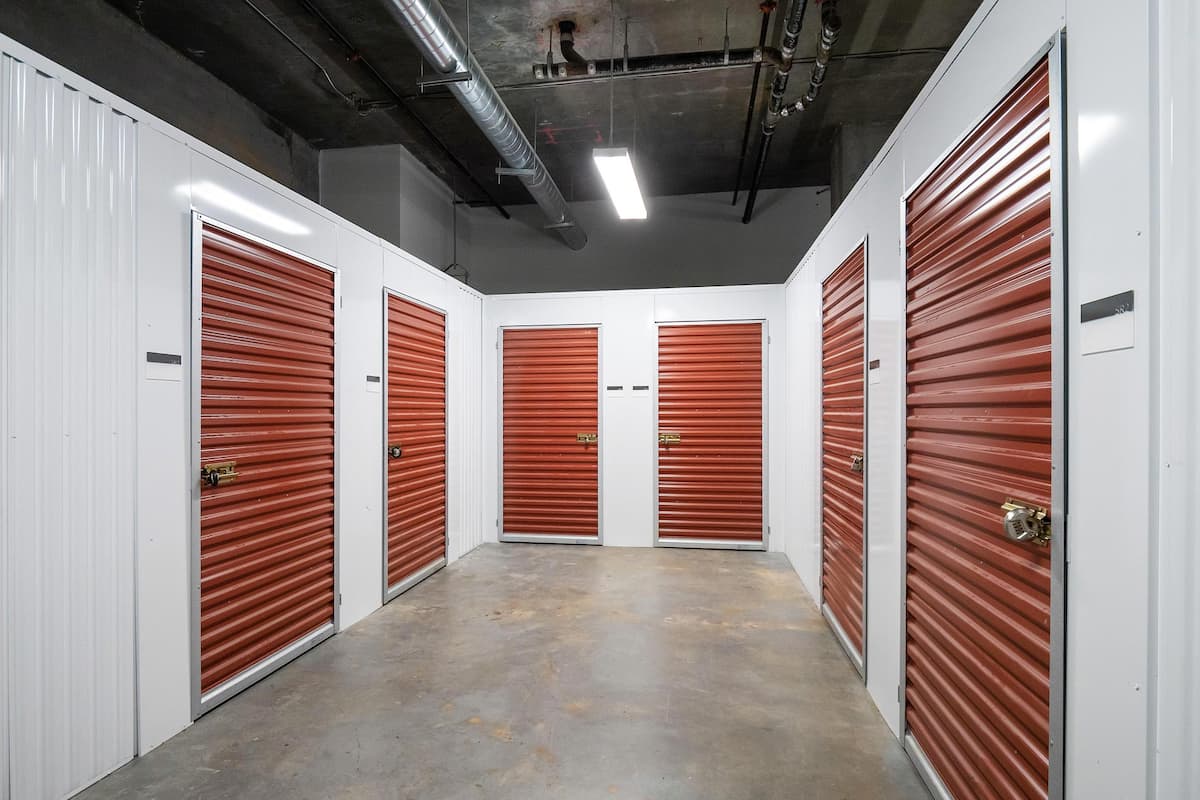 RGVtYW5kUGljdHVyZToxOTUyMDQ1MjY0