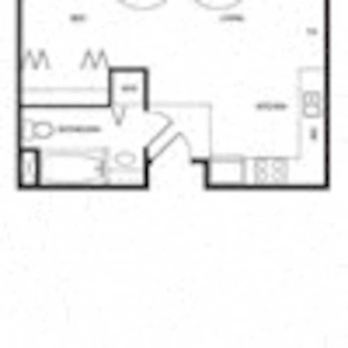 Floorplan diagram for Lite Renovation - 439 Sq Ft., showing Studio