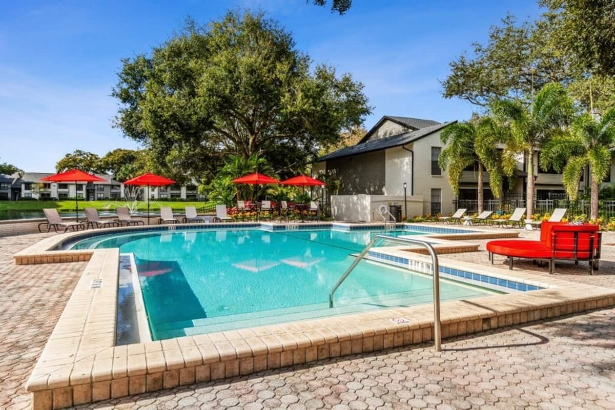 Earn with Airbnbfriendly apartments in Tampa Airbnb