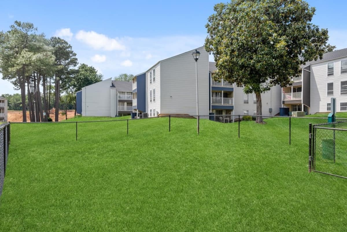 RGVtYW5kUGljdHVyZToxOTU1OTcxMjU2