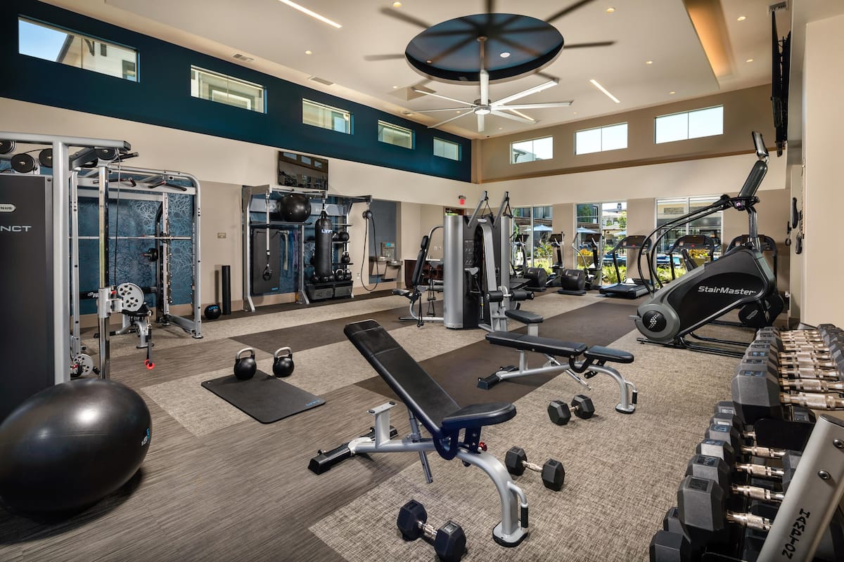 RGVtYW5kUGljdHVyZToyMDkzNDc1MTEw