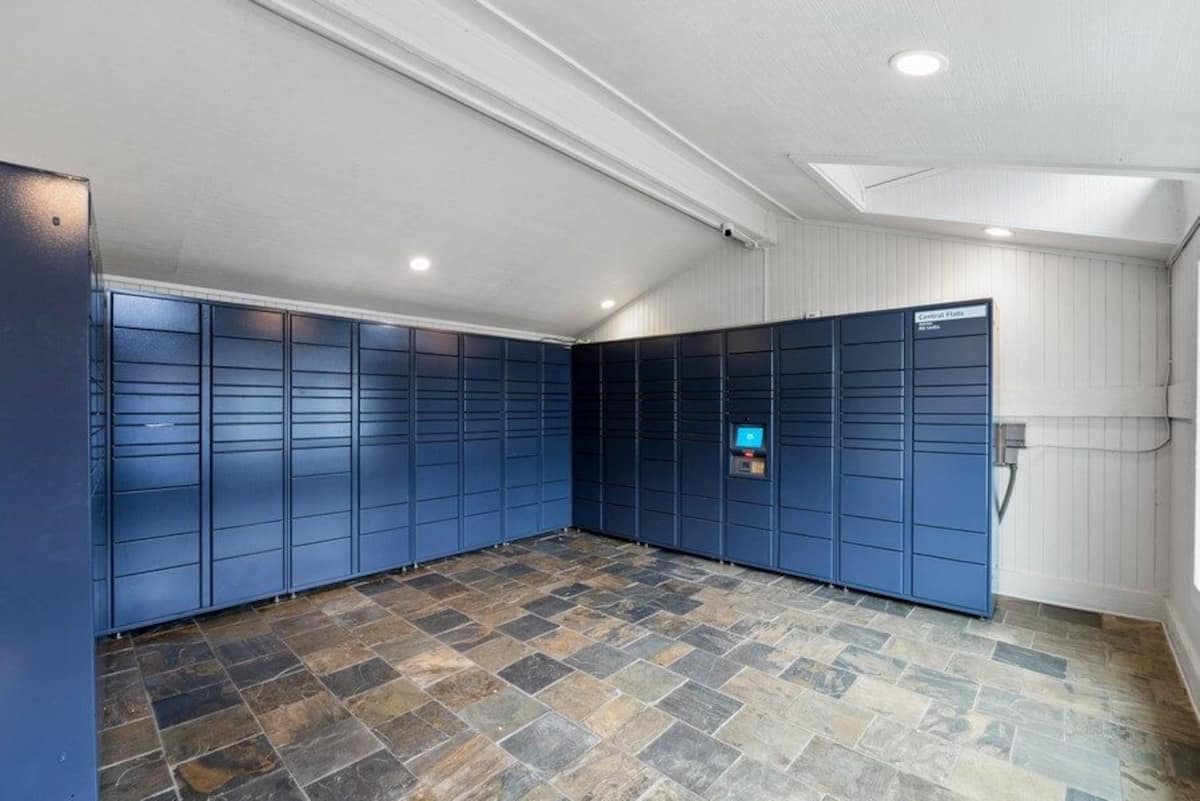 RGVtYW5kUGljdHVyZToxOTU1MjE3MjYy