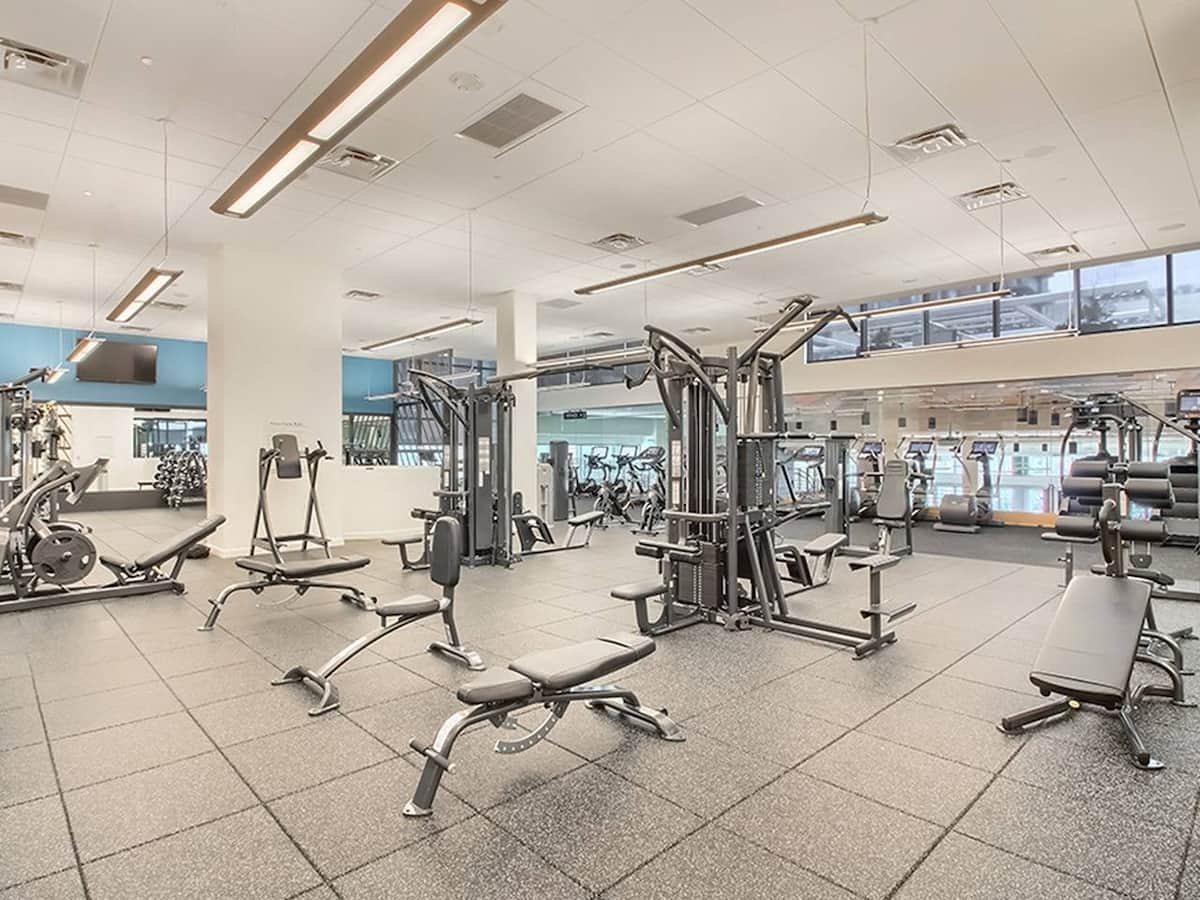 RGVtYW5kUGljdHVyZToxOTQzMTI4ODM4