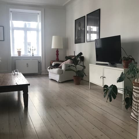 Successful Airbnb property: large, cute apartment in the center of Copenhagen in København