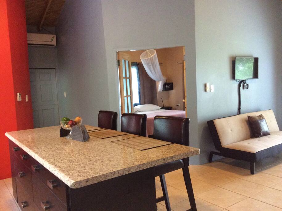 1Br Kitchen/Living Area/view of Main bedroom