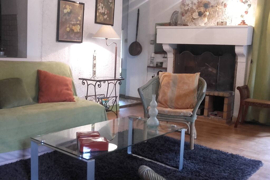 salon et sa cheminée
