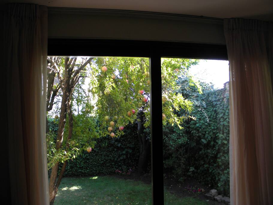 first floor room 1