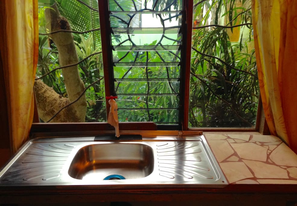 Kitchenette Sink, View of Garden