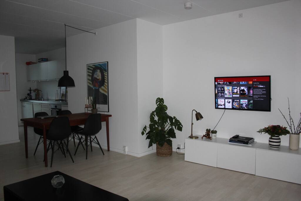 You can use netflix on the tv