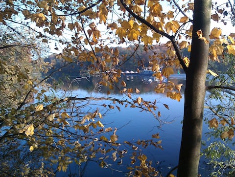 Zimmer inmitten der Natur (1.OG)