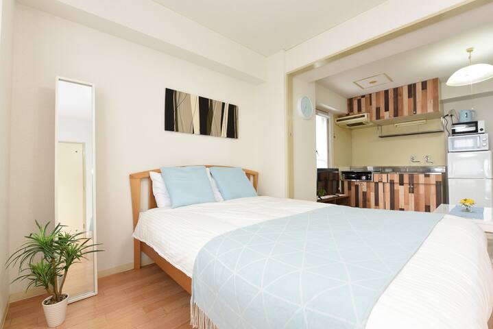 大通5分、地下鉄3分!狸小路・すすきの徒歩圏の鉄筋1LDK。AS767