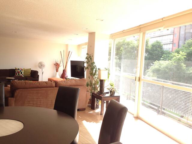 Light, Spacious and Trees View Apartment