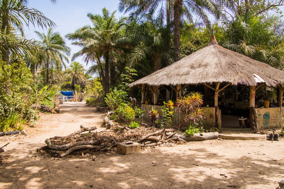 A thatched-roof gazebo is situated among lush palm trees and tropical vegetation. A sandy path leads to the gazebo, revealing a tranquil atmosphere. The natural surroundings feature a mix of greenery and earthy textures, creating a serene outdoor setting.