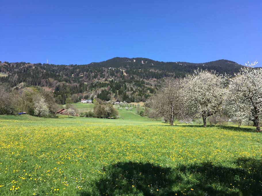 Ausblick Nordzimmer