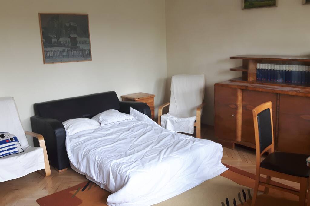 Bedroom/living room