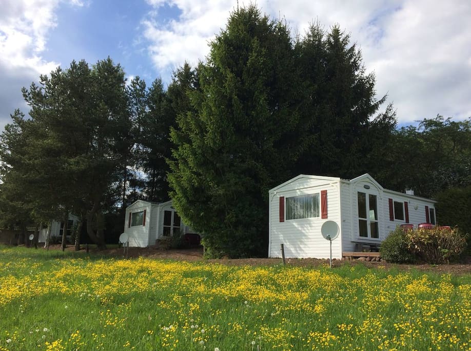 Ferienhof Thommes: "Eifel-Häuschen" und mögliche Zeltwiese