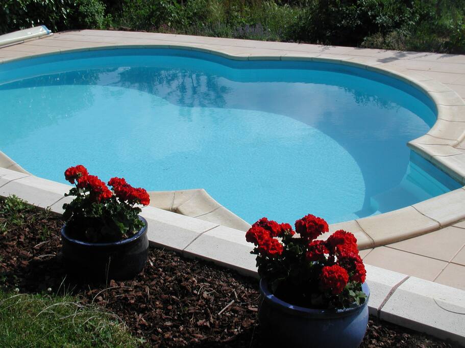 La piscine