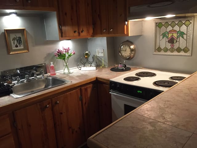 Charming South End Duplex (Pets Ok)