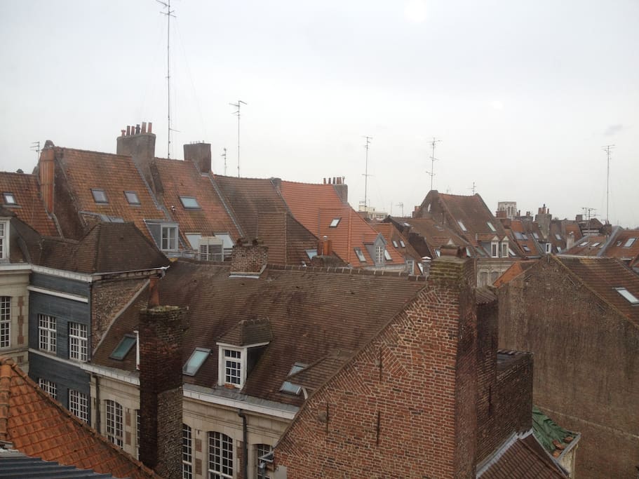 Vue sur les toits de Lille