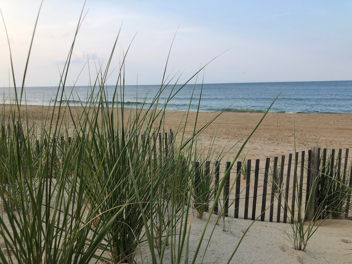 Tall grass gently sways in the foreground, framing a serene beach landscape. Soft, sandy shores lead to calm waters, with waves lapping at the beach. A wooden fence is visible in the distance, providing structure to the natural setting under a clear sky.